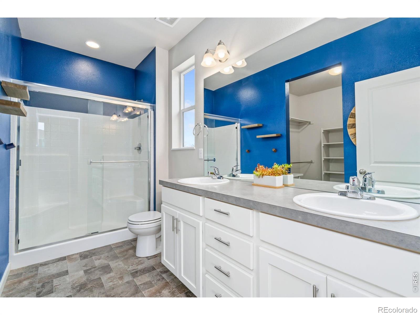 3814 Hackberry Street Wellington CO 80549