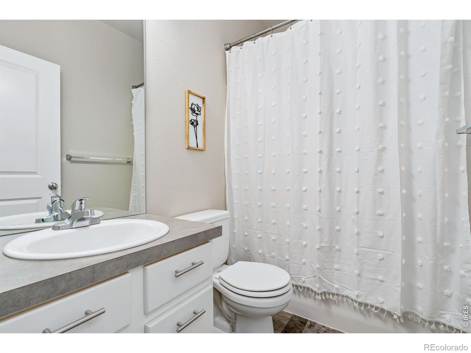 3814 Hackberry Street Wellington CO 80549
