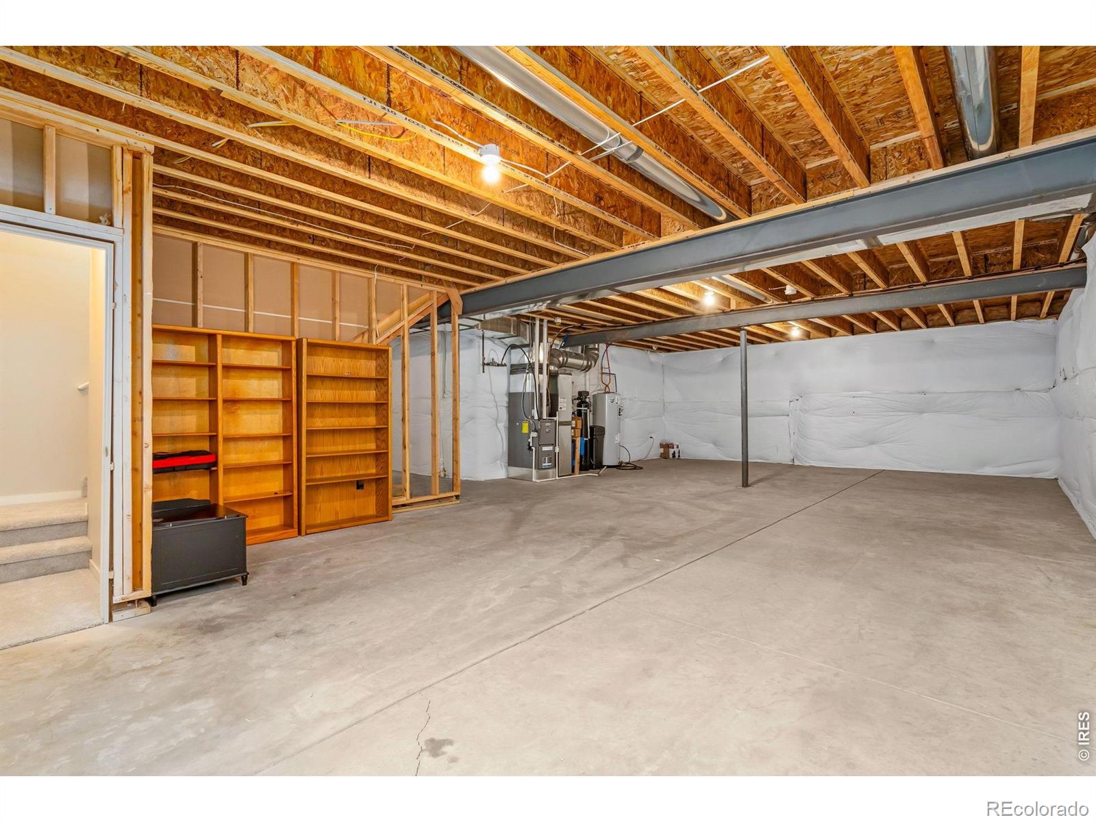 3814 Hackberry Street Wellington CO 80549