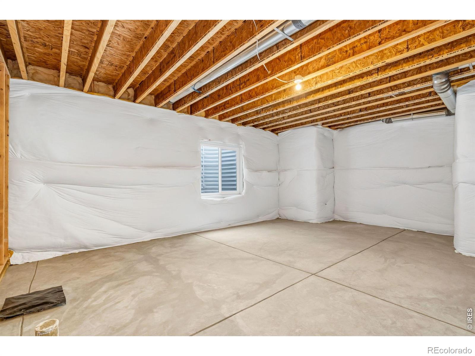 3814 Hackberry Street Wellington CO 80549