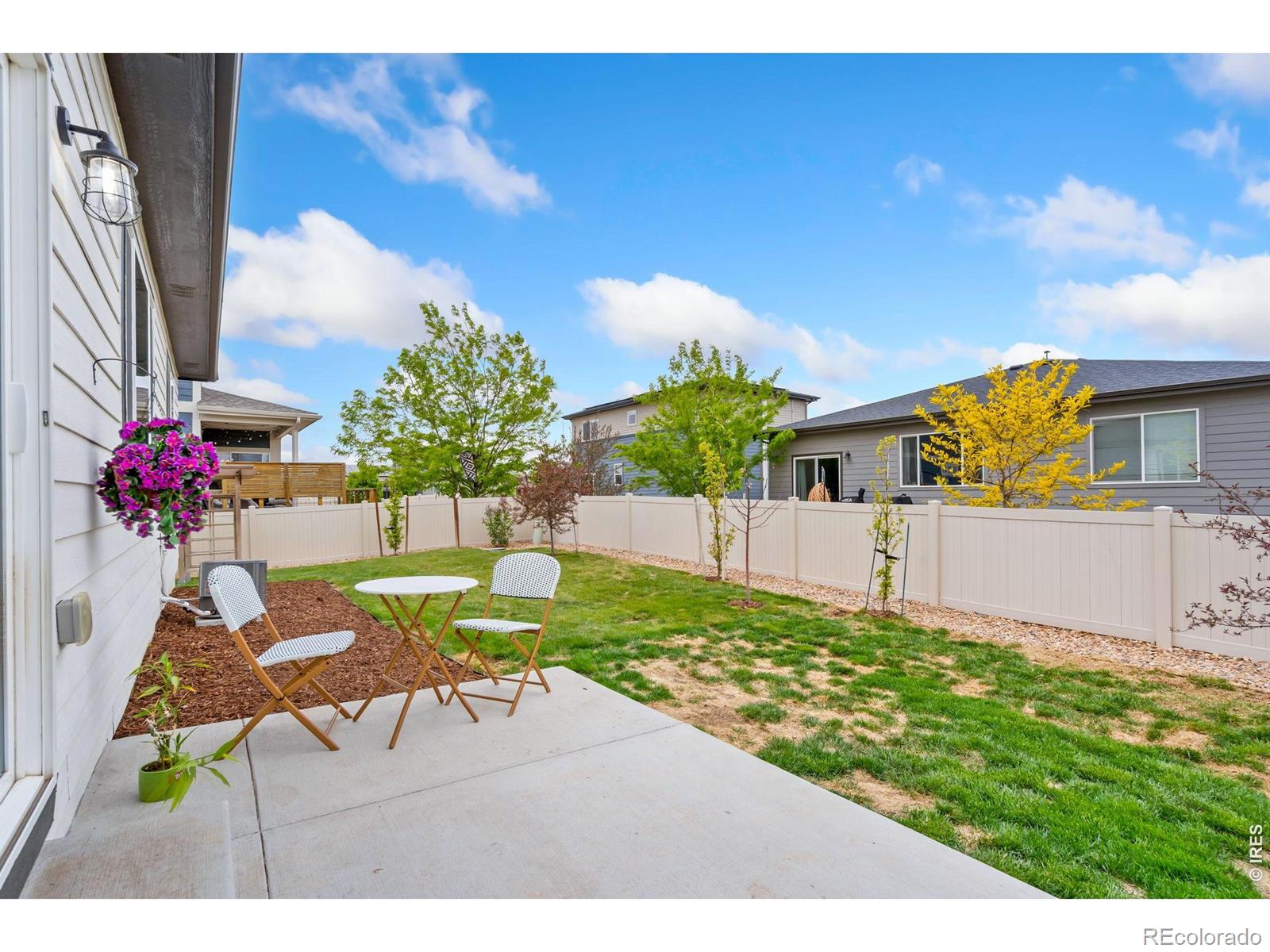 3814 Hackberry Street Wellington CO 80549