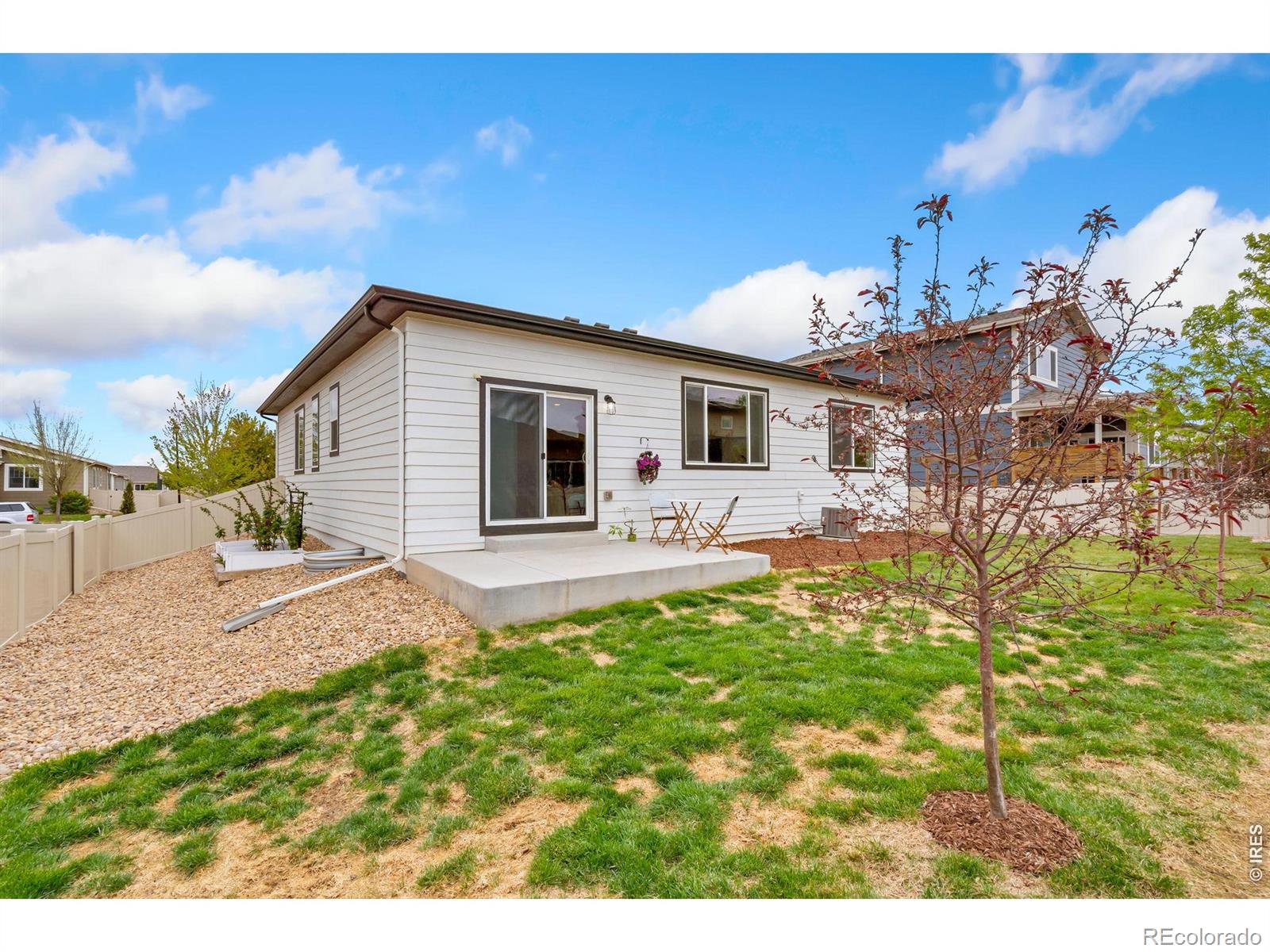 3814 Hackberry Street Wellington CO 80549