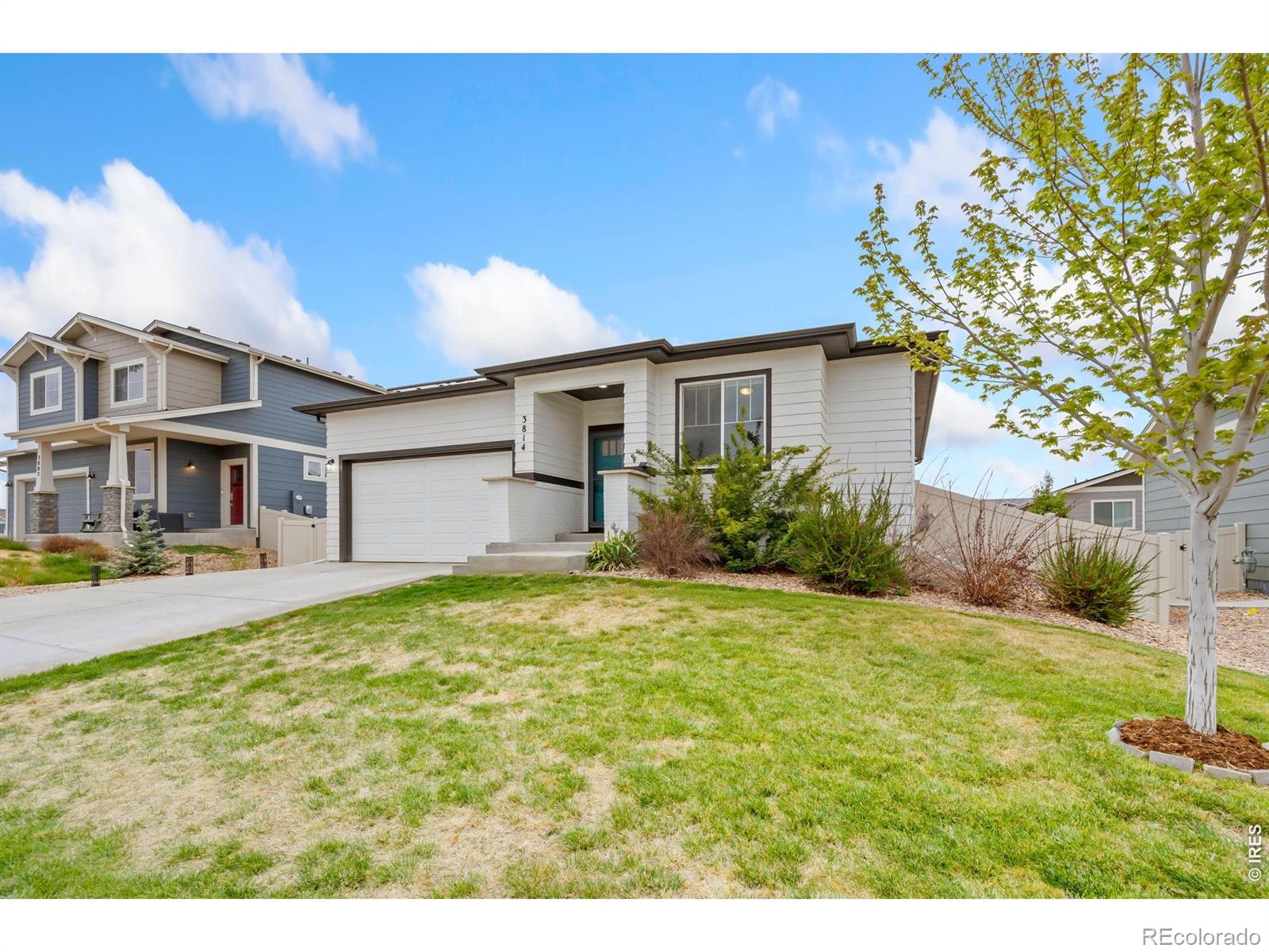 3814 Hackberry Street Wellington CO 80549