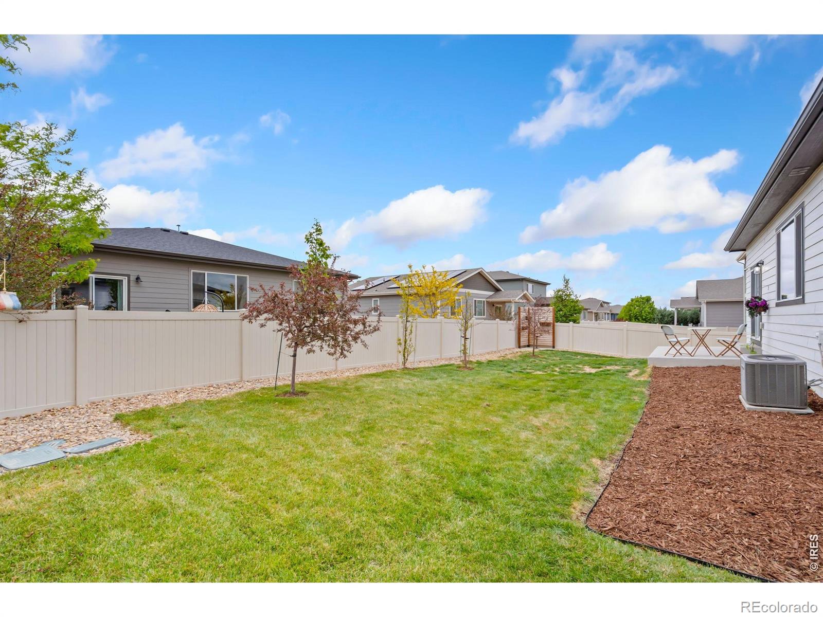 3814 Hackberry Street Wellington CO 80549
