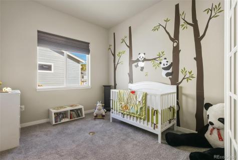 16428 Mountain Glory Drive Monument CO 80132