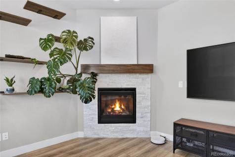 9779 Rosalee Peak Street Littleton CO 80125