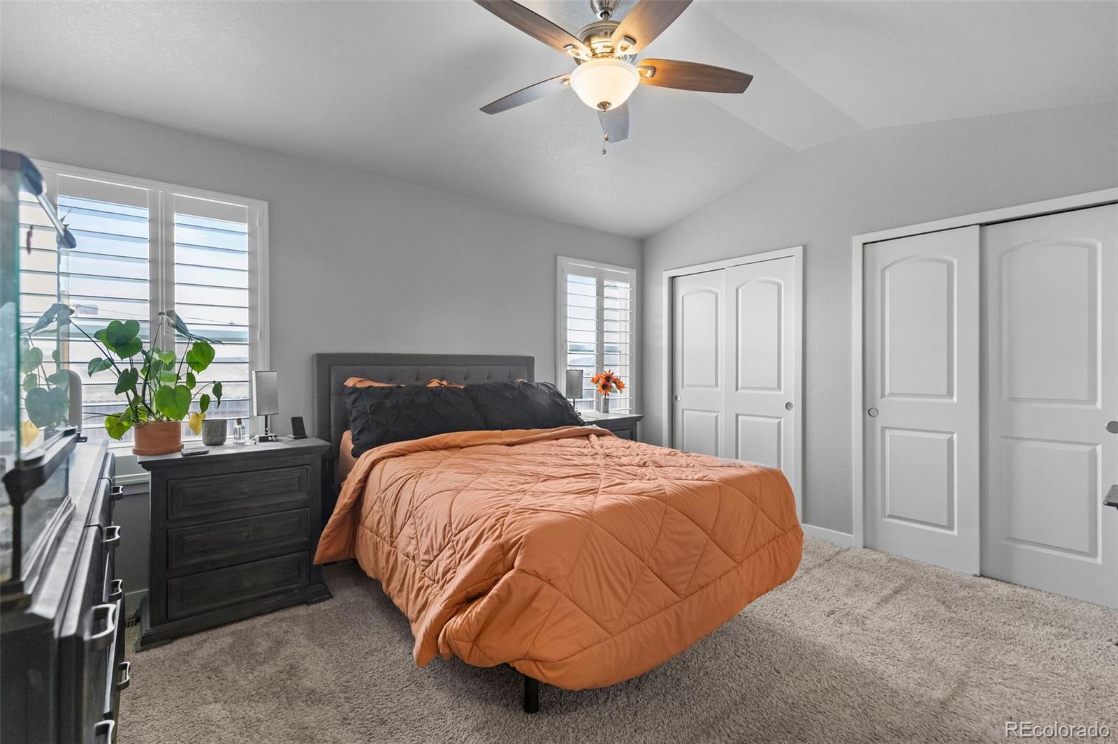 100 Bluebell Court Wiggins CO 80654