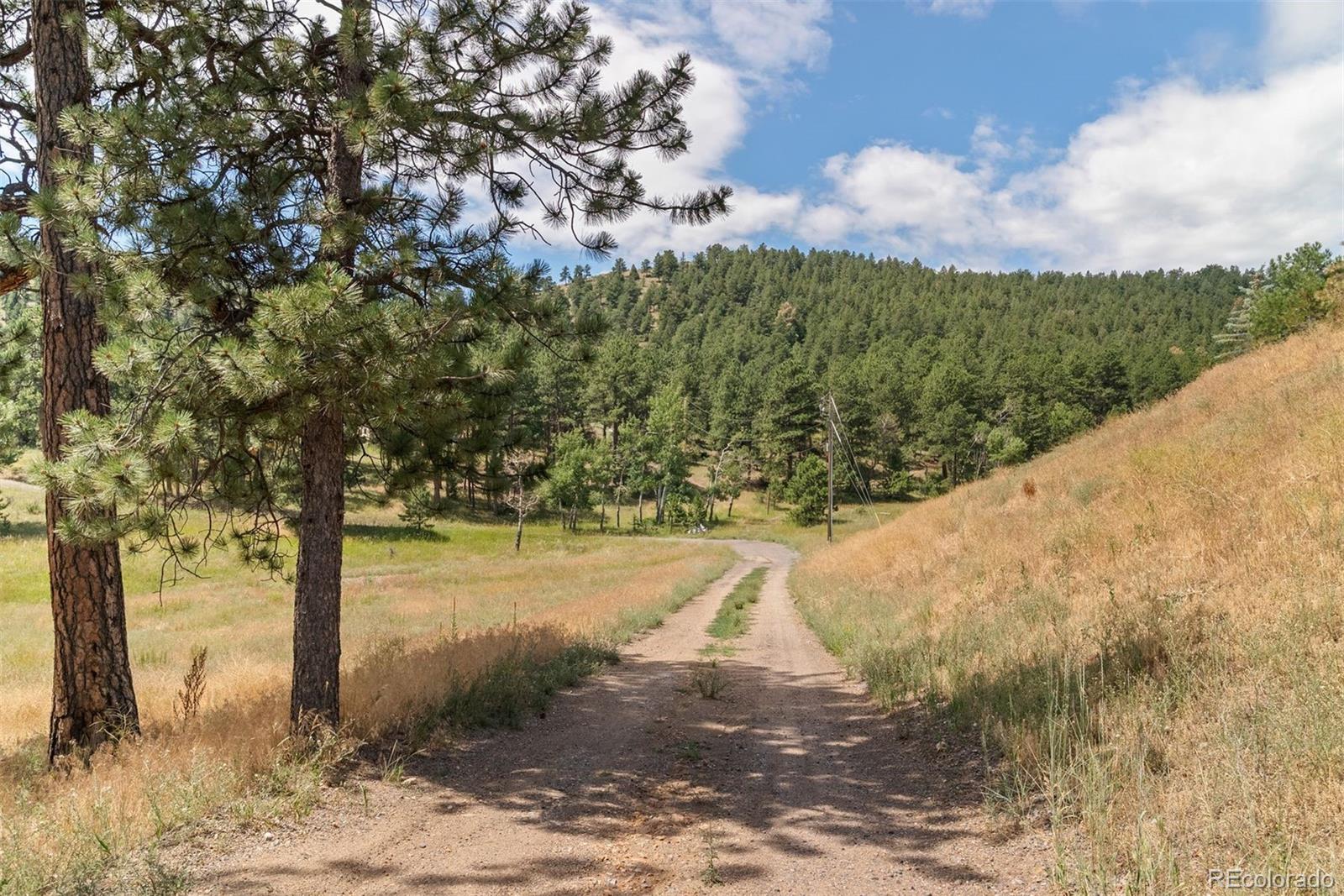 1053 Red Moon Road Evergreen CO 80439