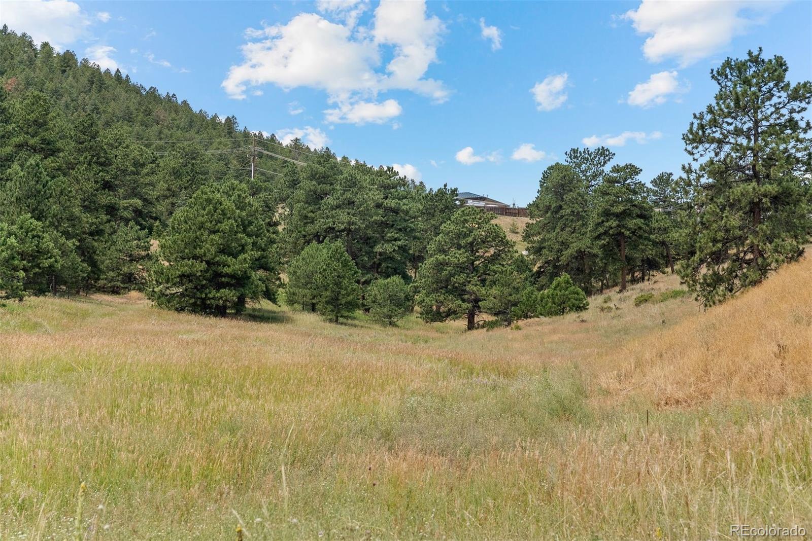 1053 Red Moon Road Evergreen CO 80439