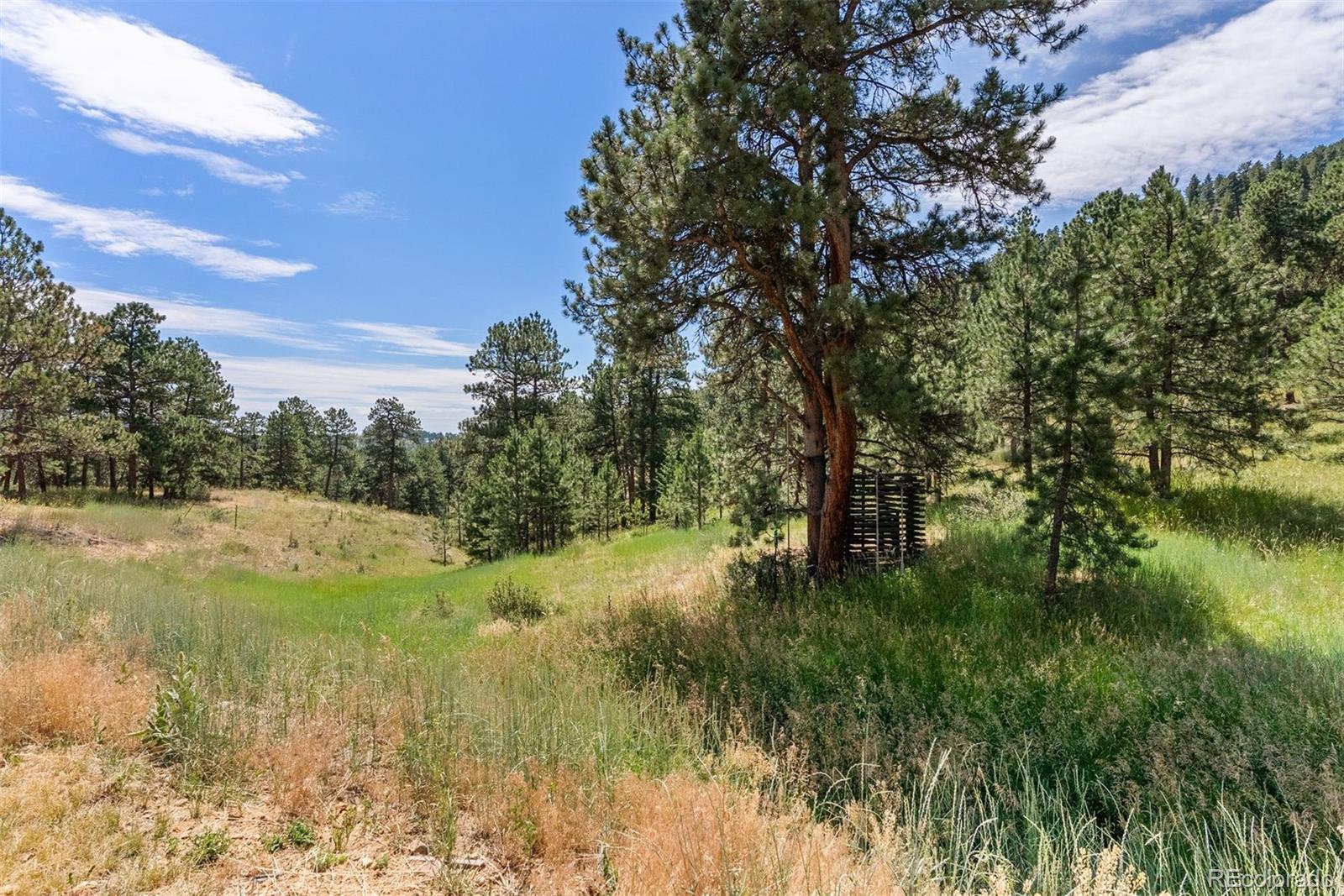1053 Red Moon Road Evergreen CO 80439
