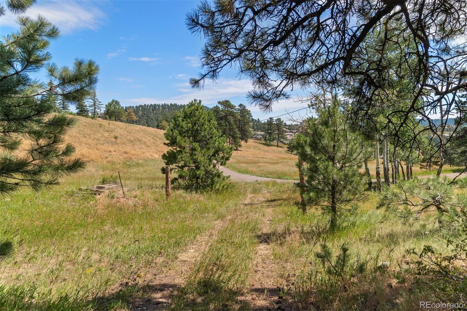 1053 Red Moon Road Evergreen CO 80439