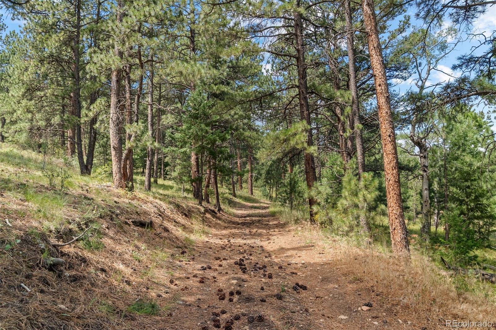1053 Red Moon Road Evergreen CO 80439