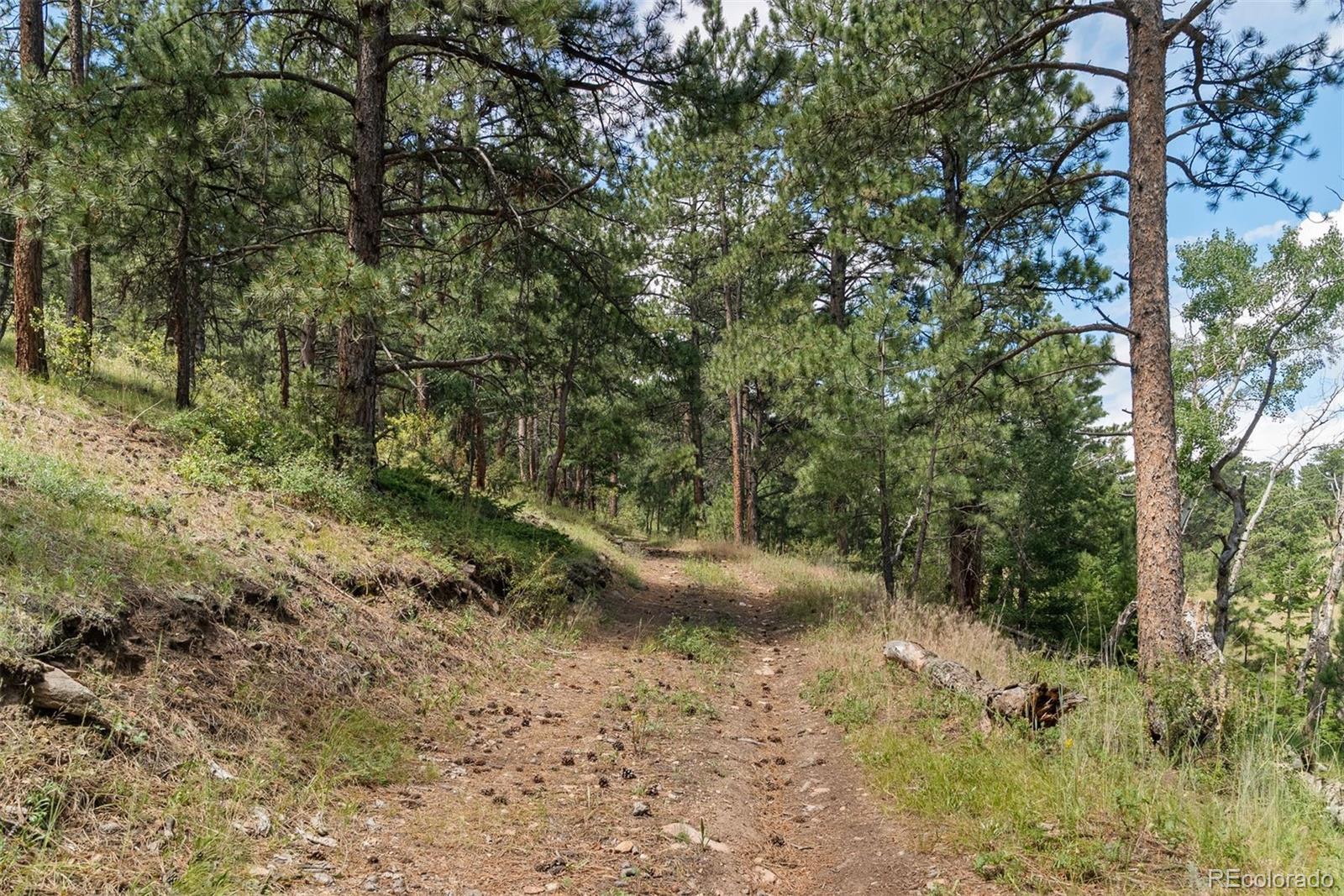 1053 Red Moon Road Evergreen CO 80439