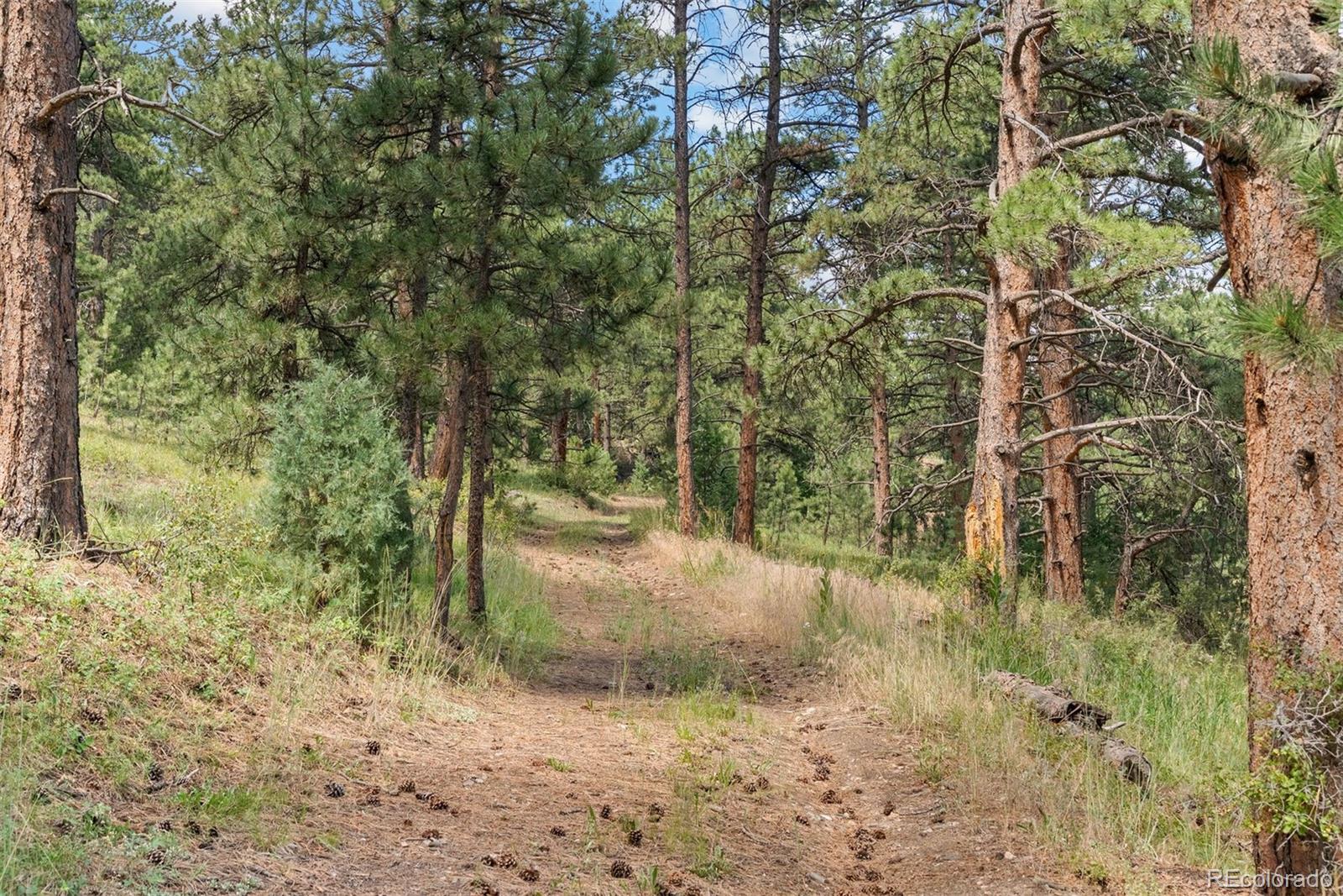 1053 Red Moon Road Evergreen CO 80439