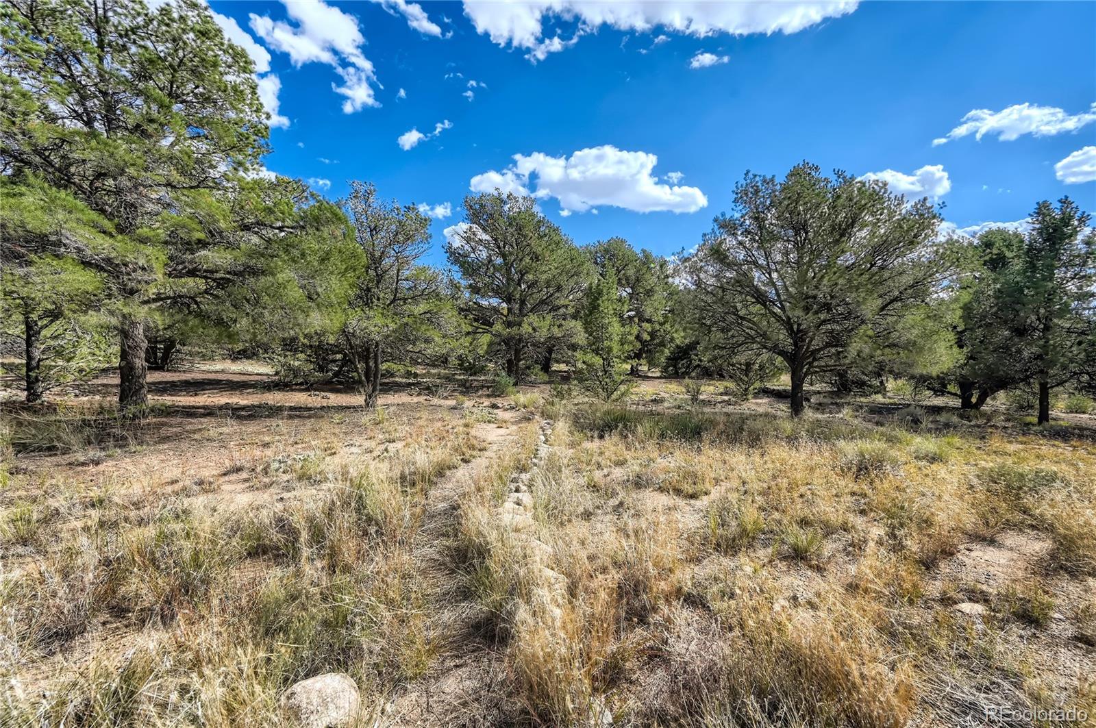 1366 Chaparral Way Crestone CO 81131