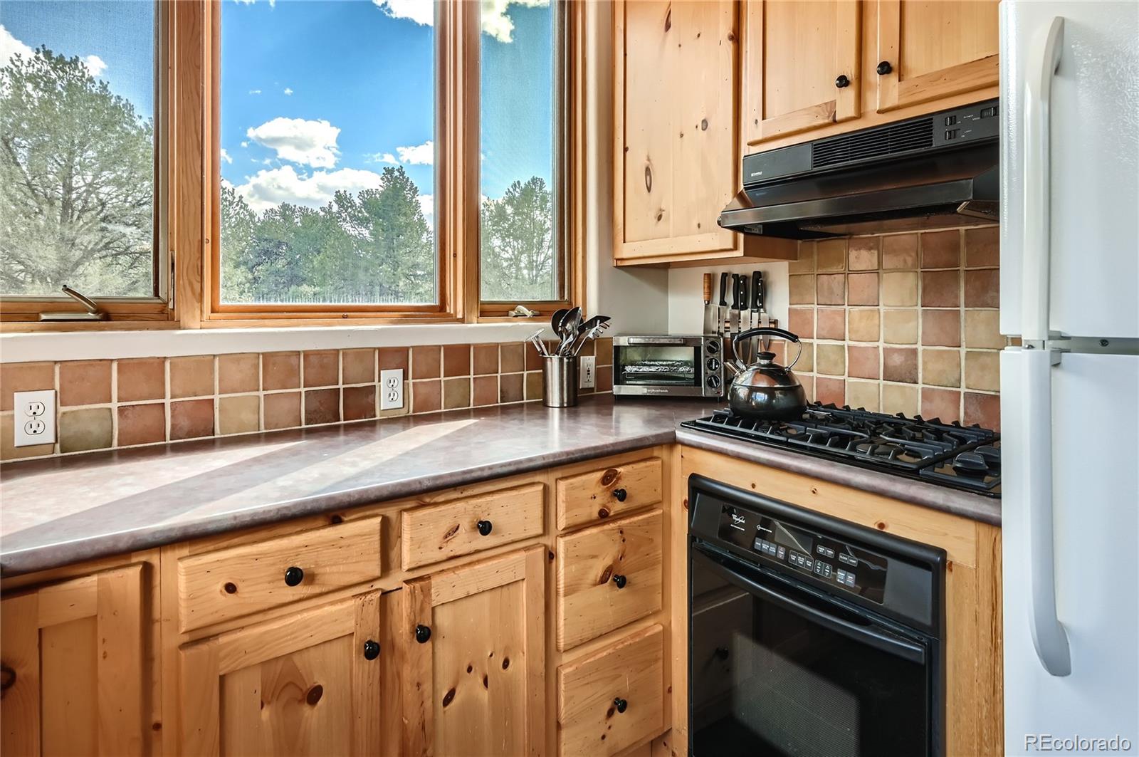1366 Chaparral Way Crestone CO 81131