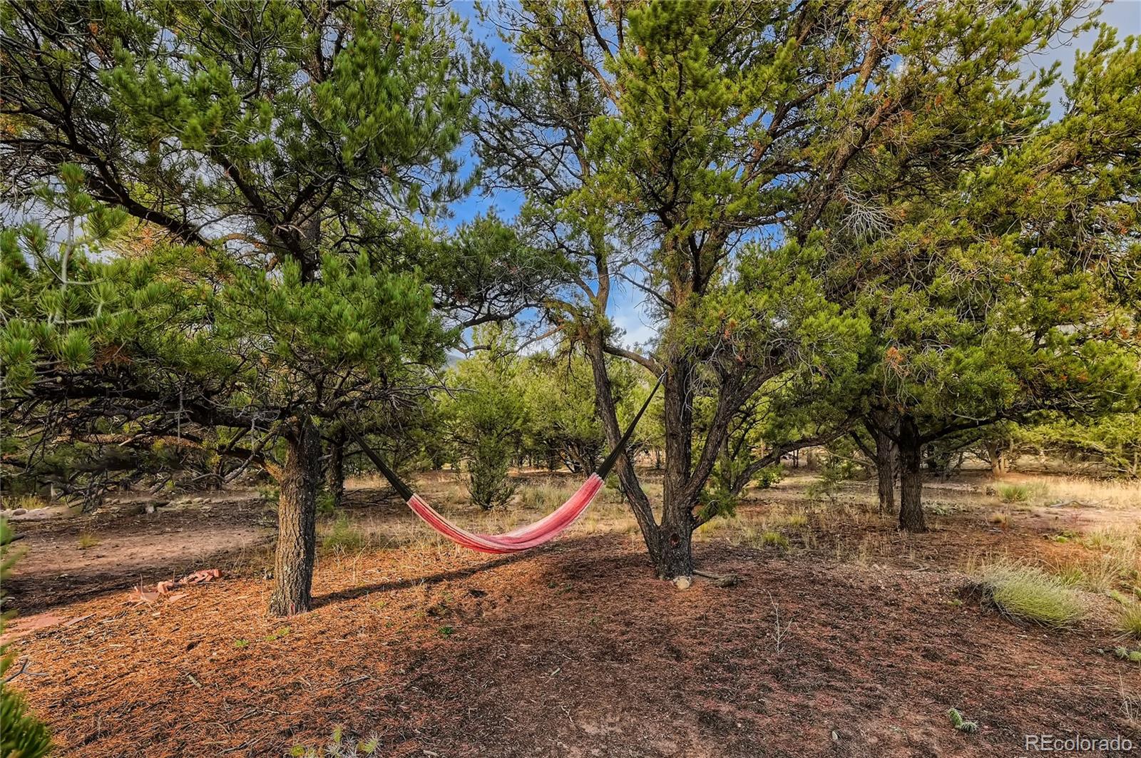 1366 Chaparral Way Crestone CO 81131