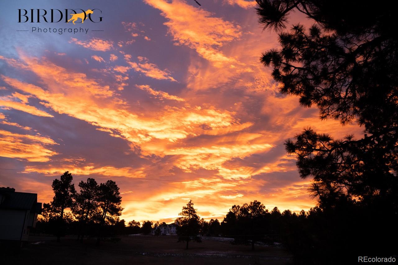 7905 Ponderosa Lane Parker CO 80138