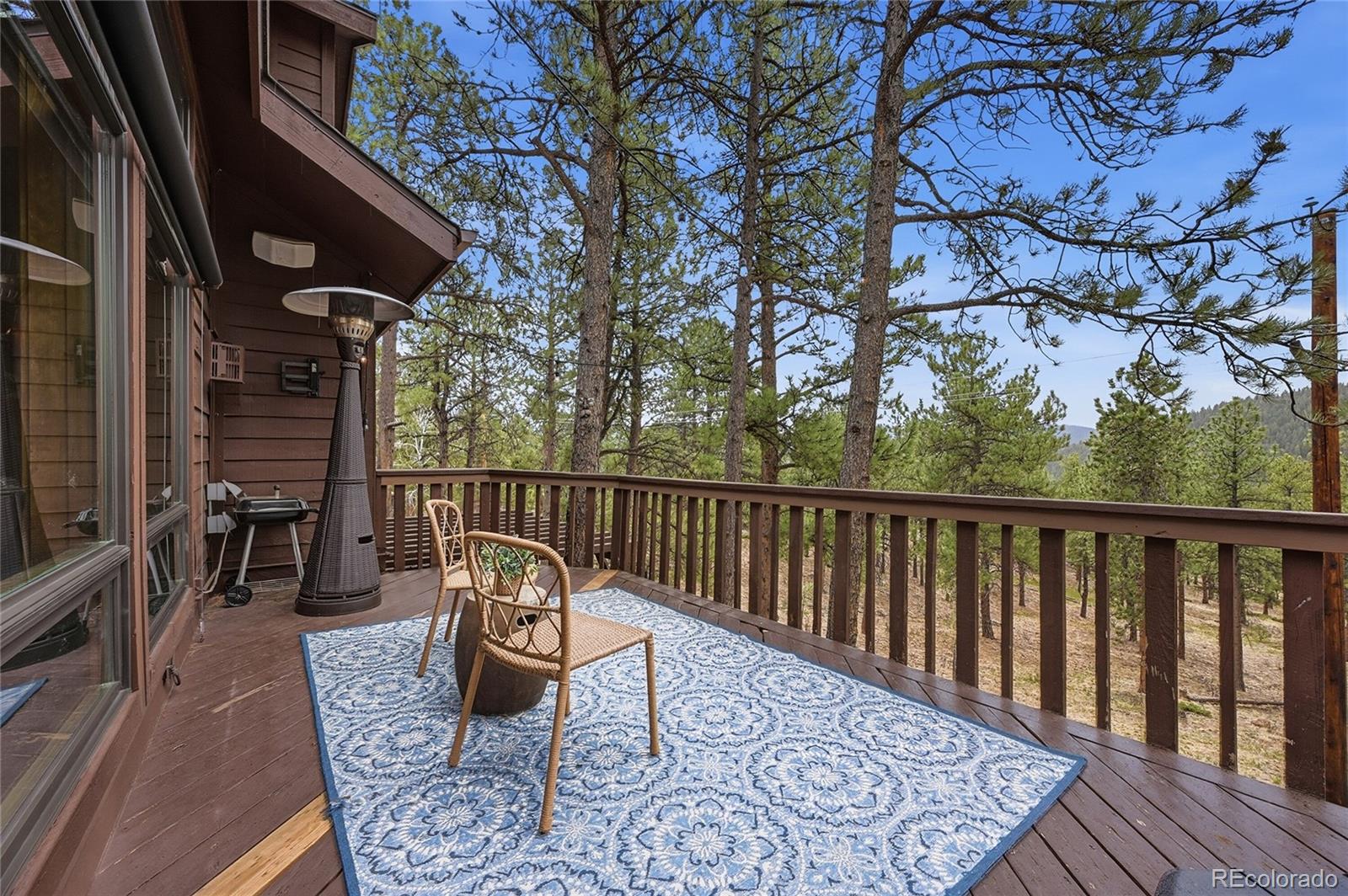 29906 Troutdale Park Place Evergreen CO 80439