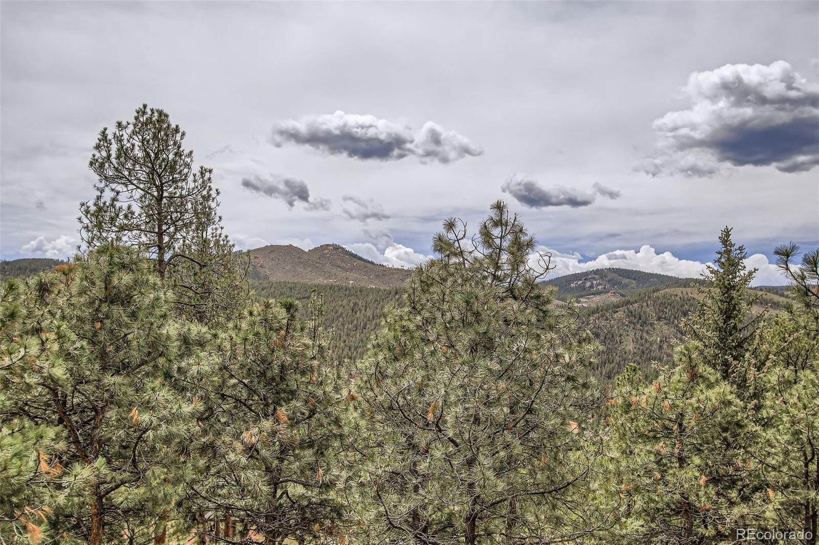 16626 Ouray Road W Pine CO 80470