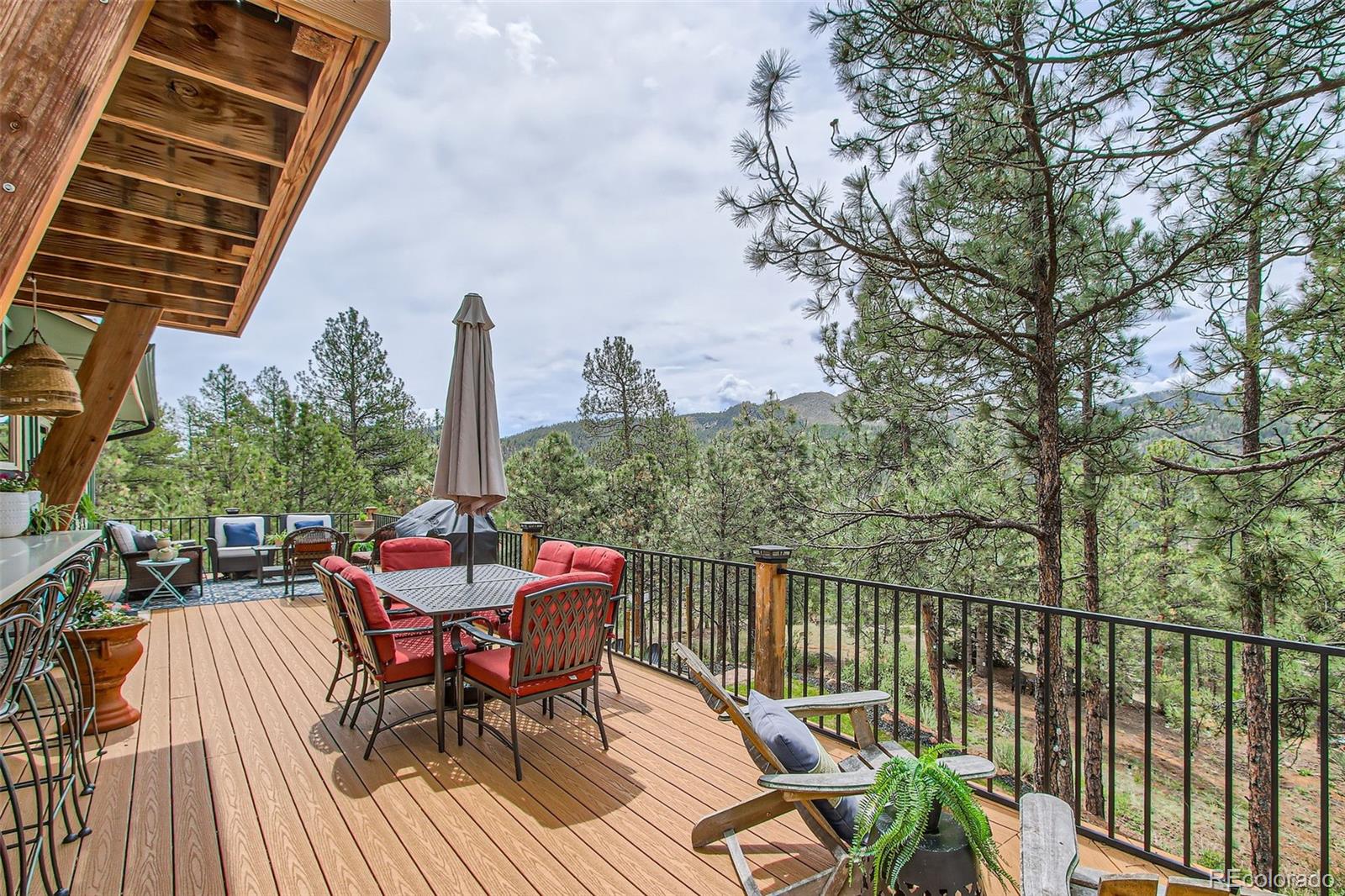 16626 Ouray Road W Pine CO 80470