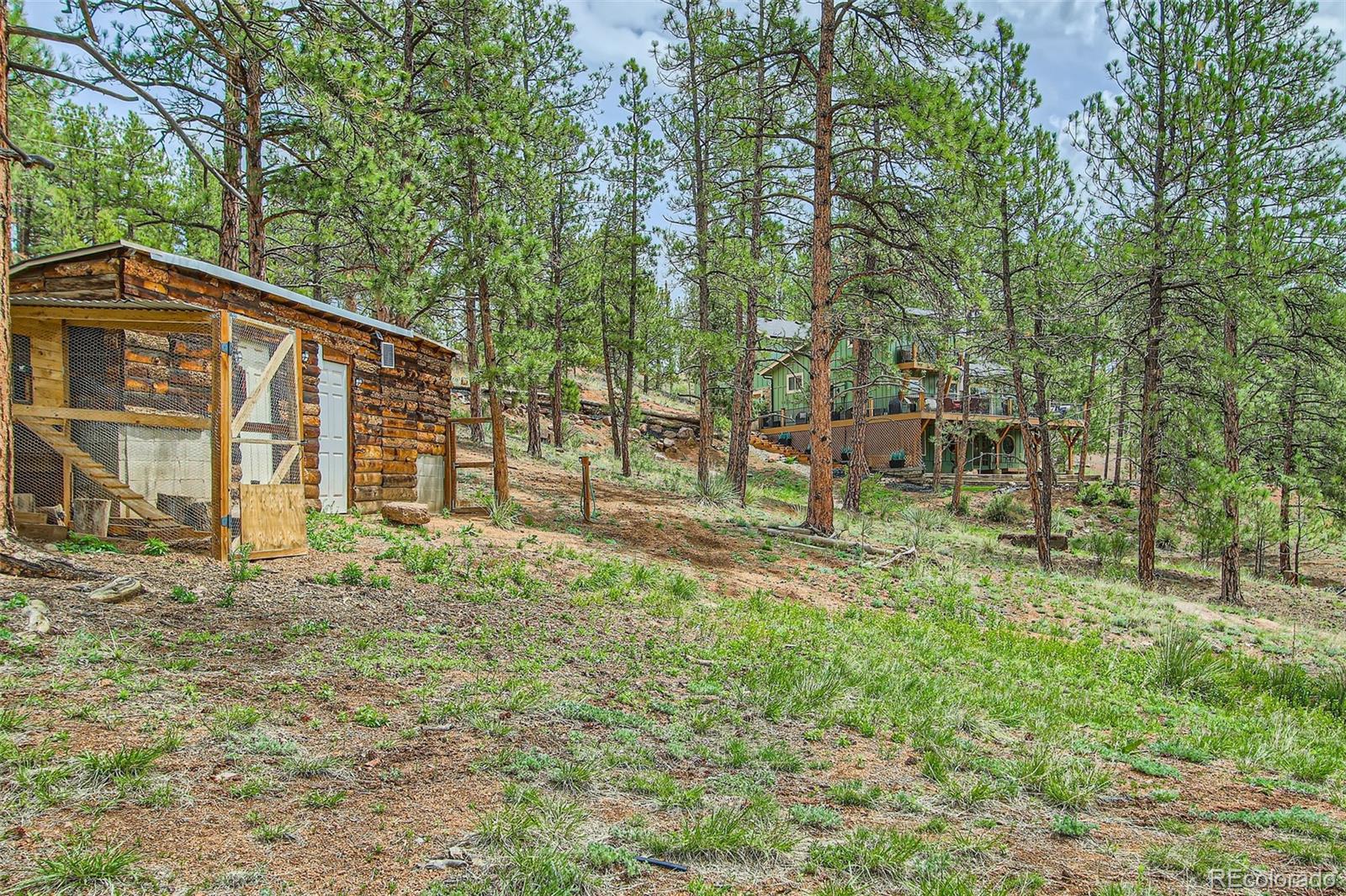 16626 Ouray Road W Pine CO 80470