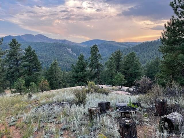 16626 Ouray Road W Pine CO 80470