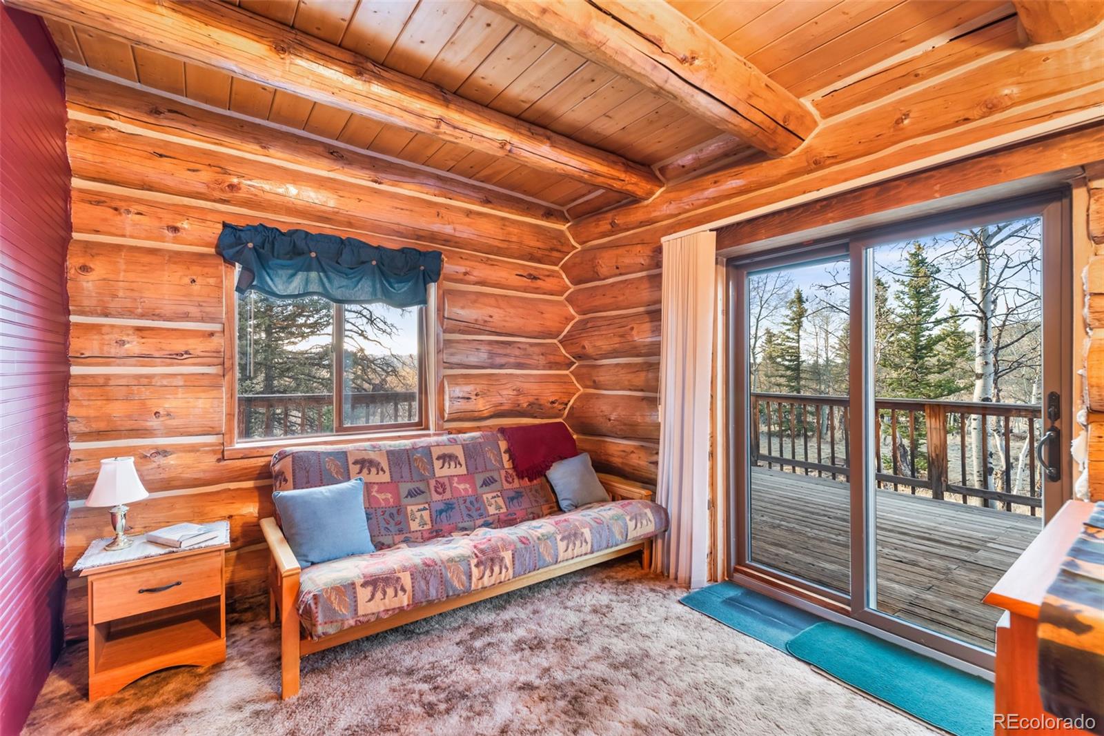 1106 Wampum Lane Como CO 80432