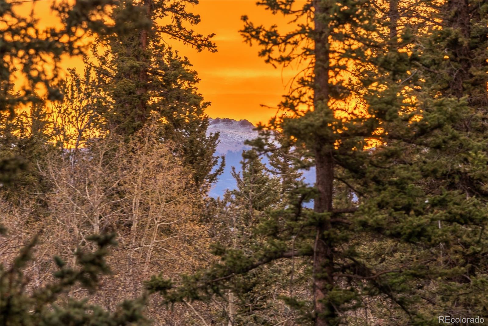 1106 Wampum Lane Como CO 80432