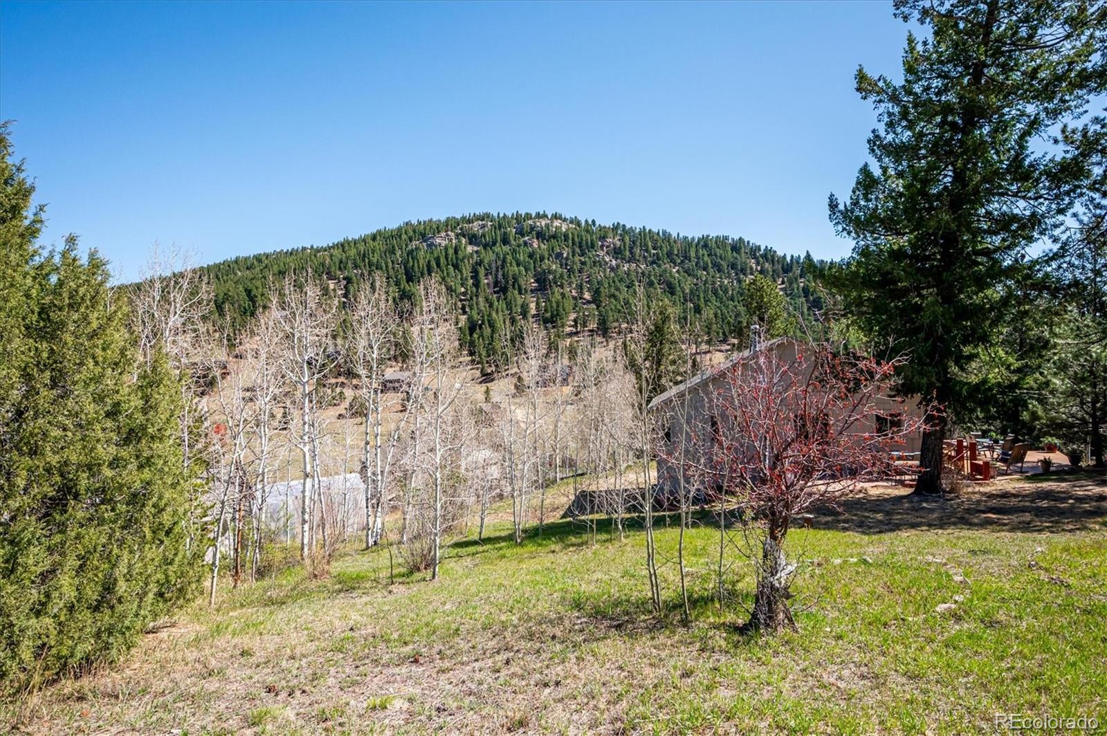 6321 Arapahoe Drive Evergreen CO 80439