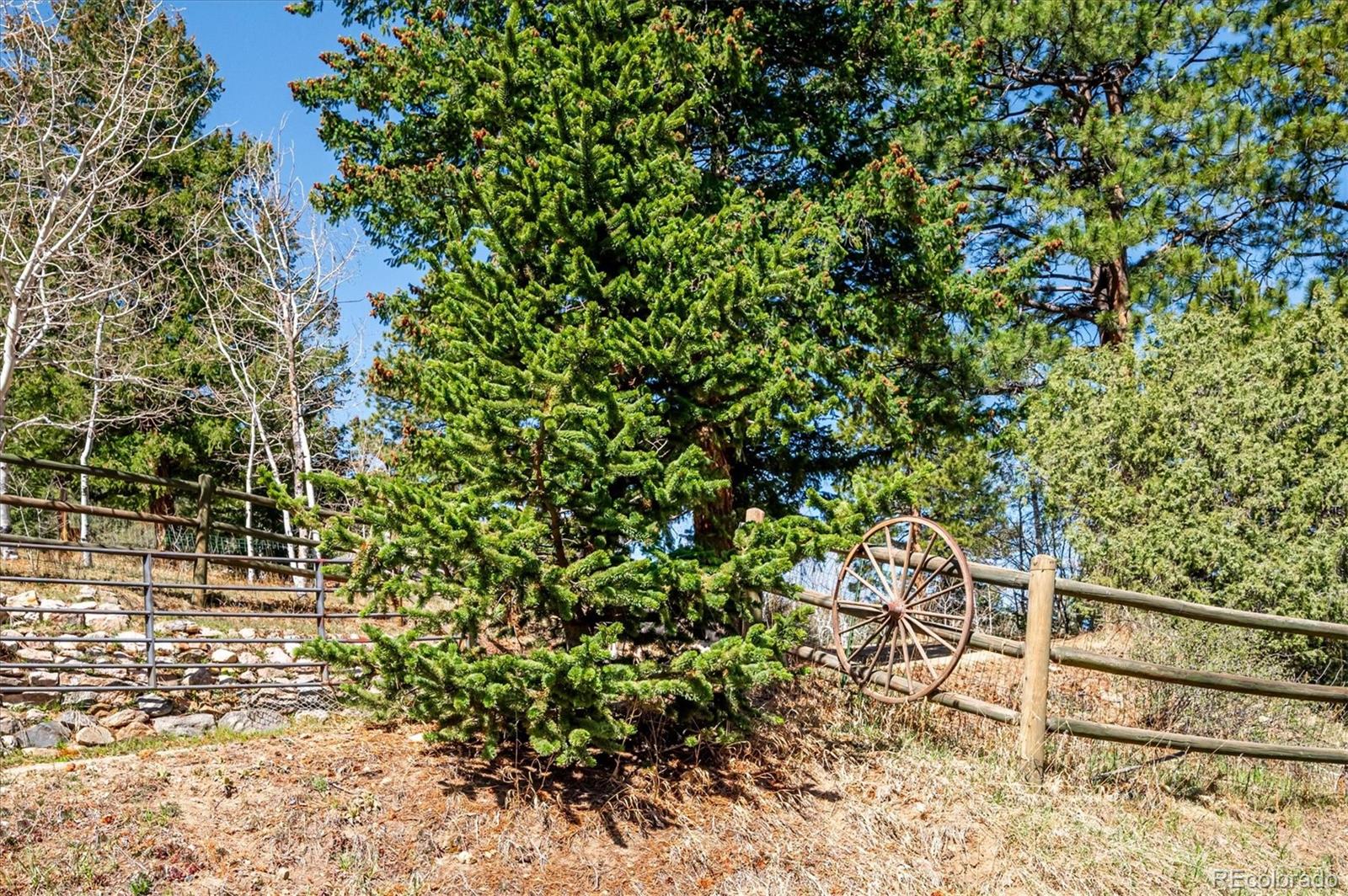 6321 Arapahoe Drive Evergreen CO 80439