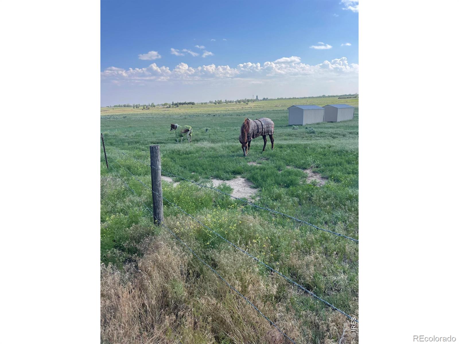 13969 County Road 33 Sterling CO 80751