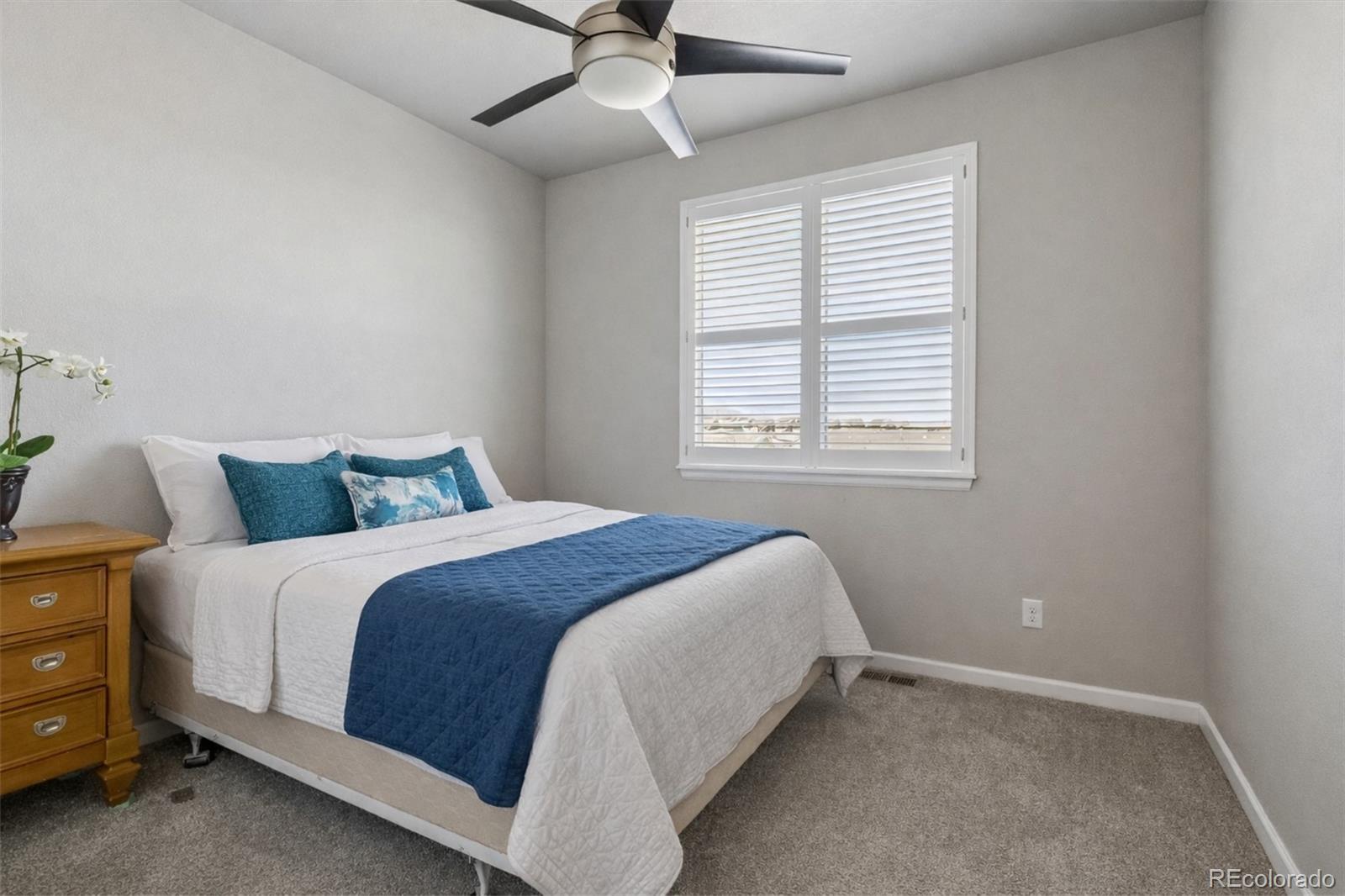 18655 W 93rd Avenue Arvada CO 80007