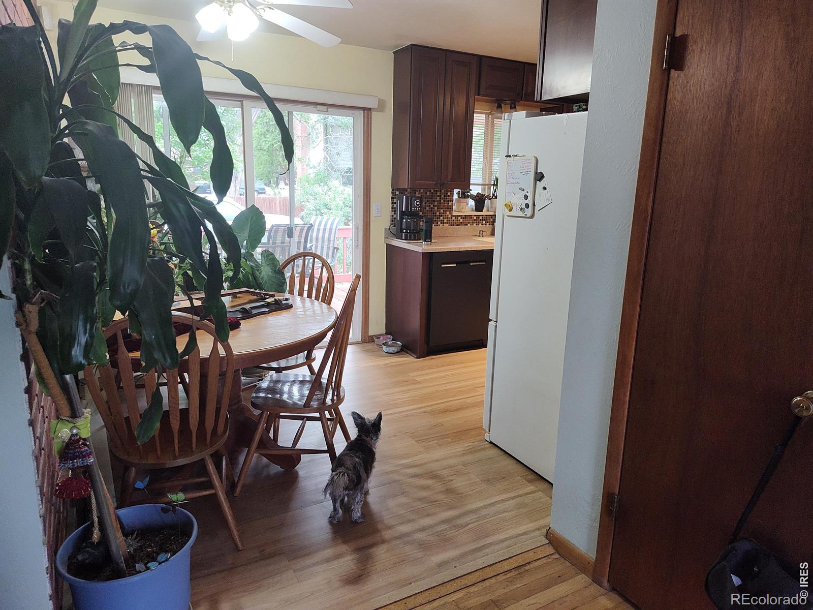 2 Forsyth Drive Longmont CO 80504