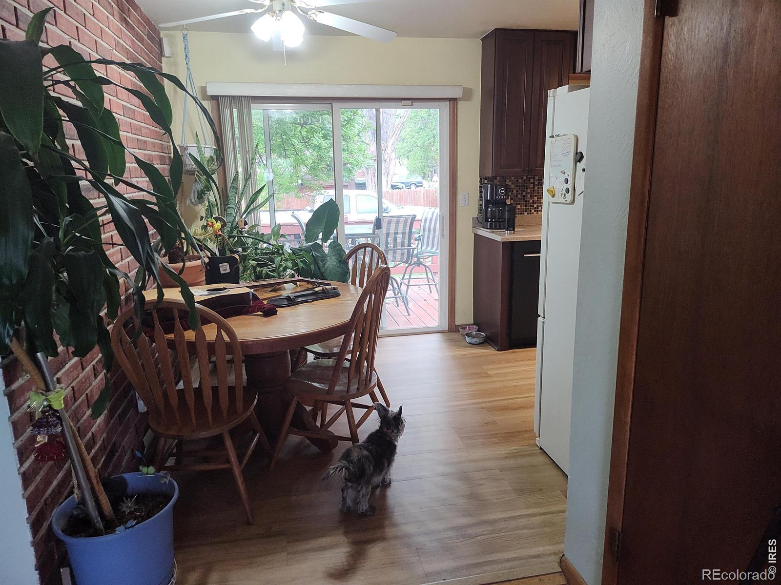 2 Forsyth Drive Longmont CO 80504