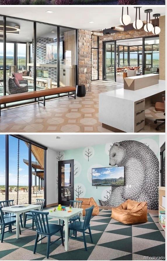 295 Kitselman Drive Castle Rock CO 80104