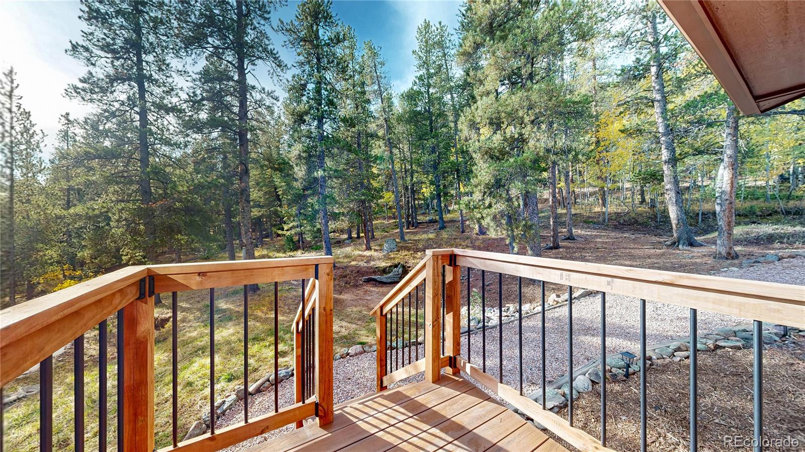 225 Renaud Road Bailey CO 80421