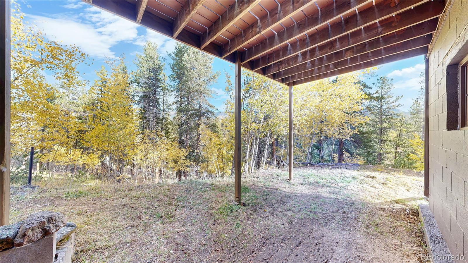 225 Renaud Road Bailey CO 80421