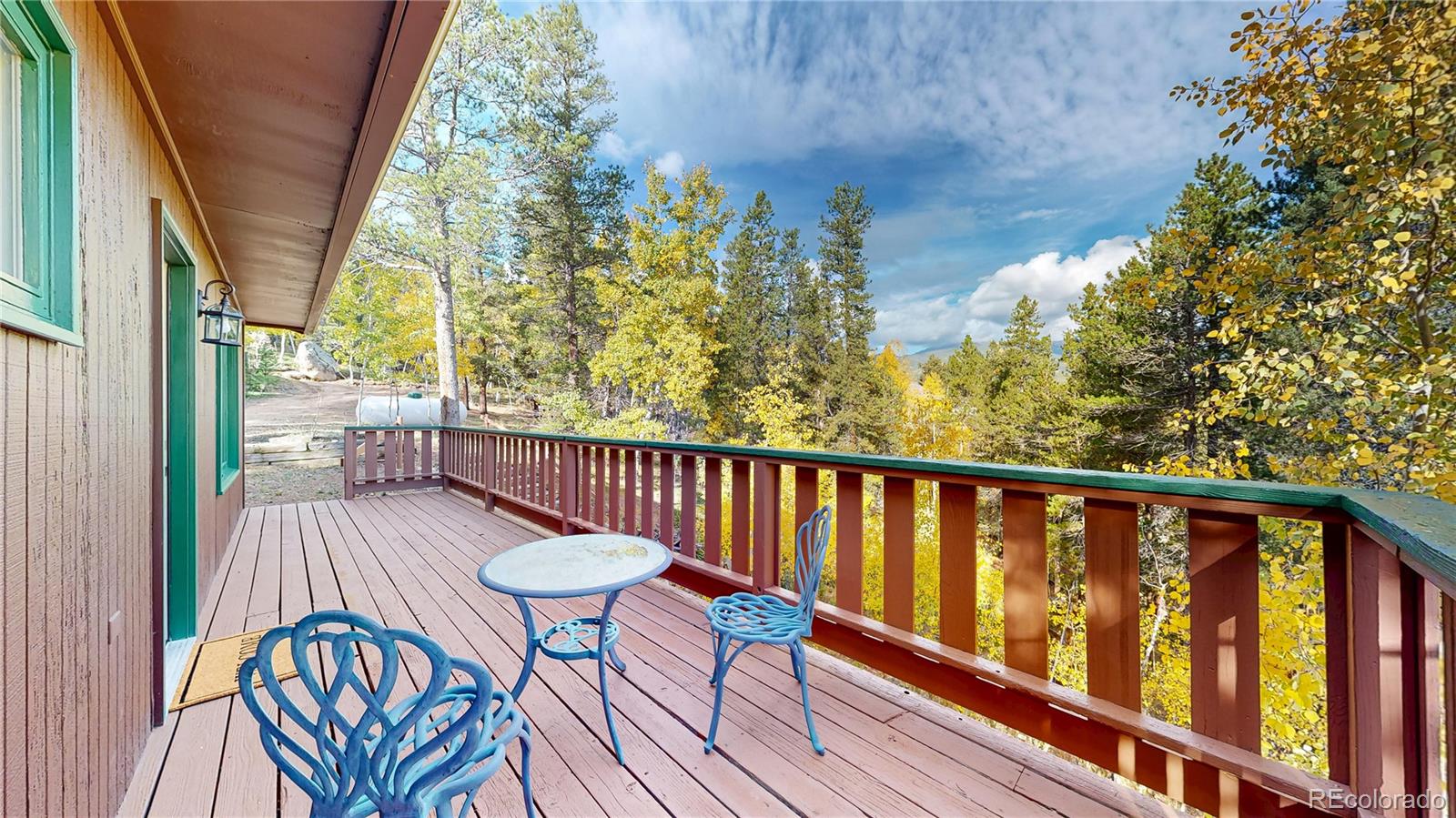 225 Renaud Road Bailey CO 80421