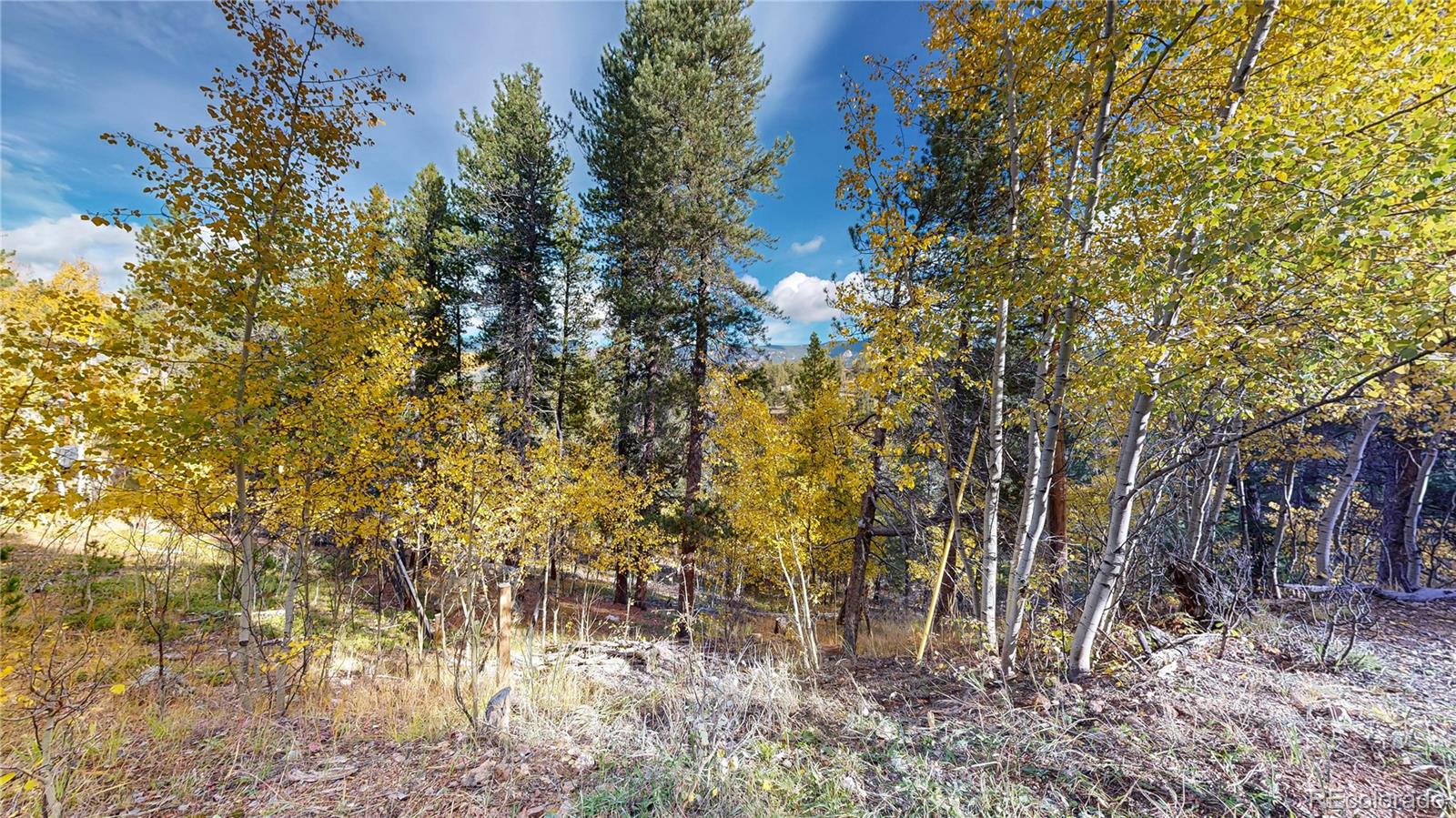 225 Renaud Road Bailey CO 80421