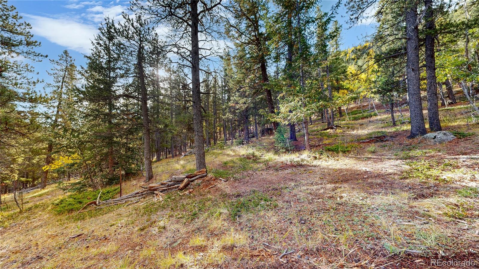 225 Renaud Road Bailey CO 80421