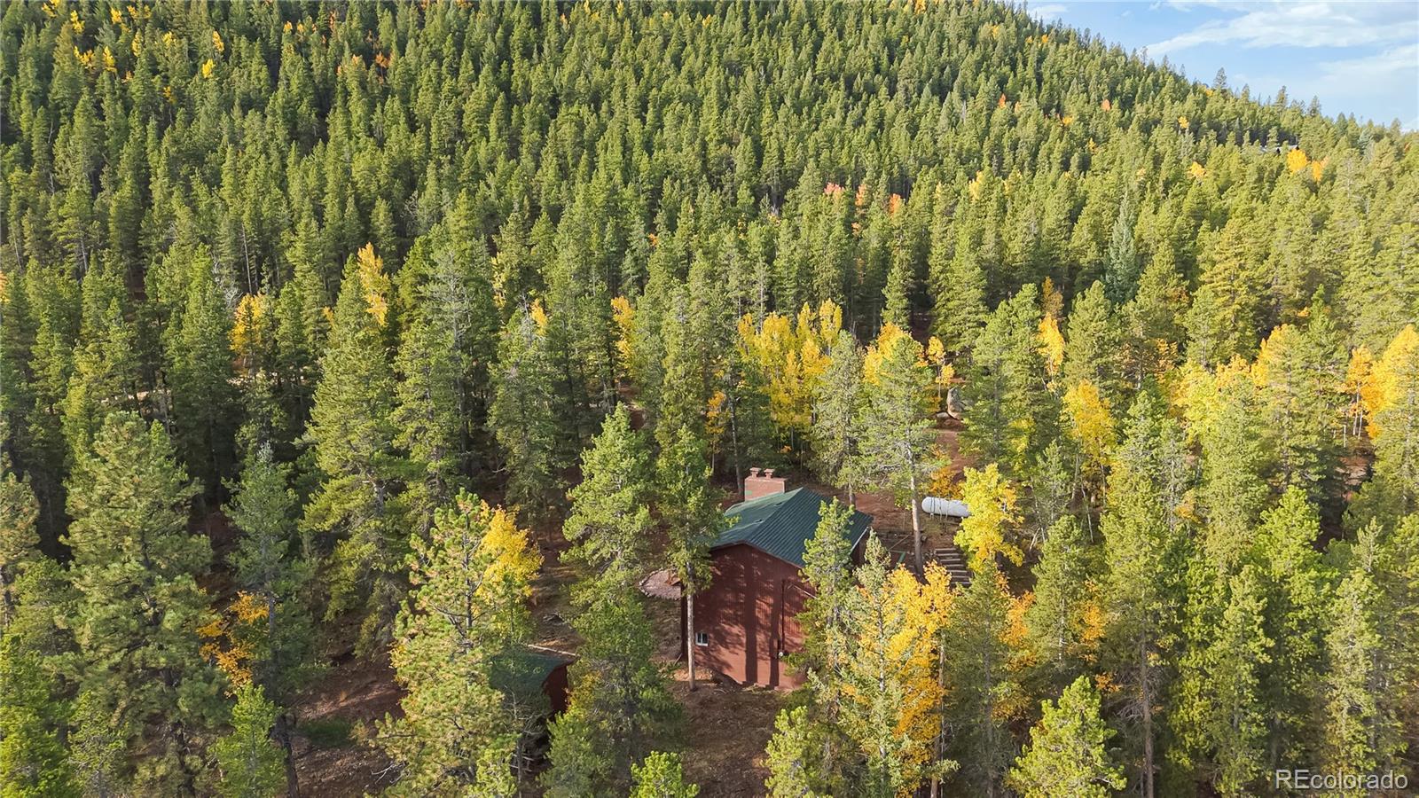 225 Renaud Road Bailey CO 80421