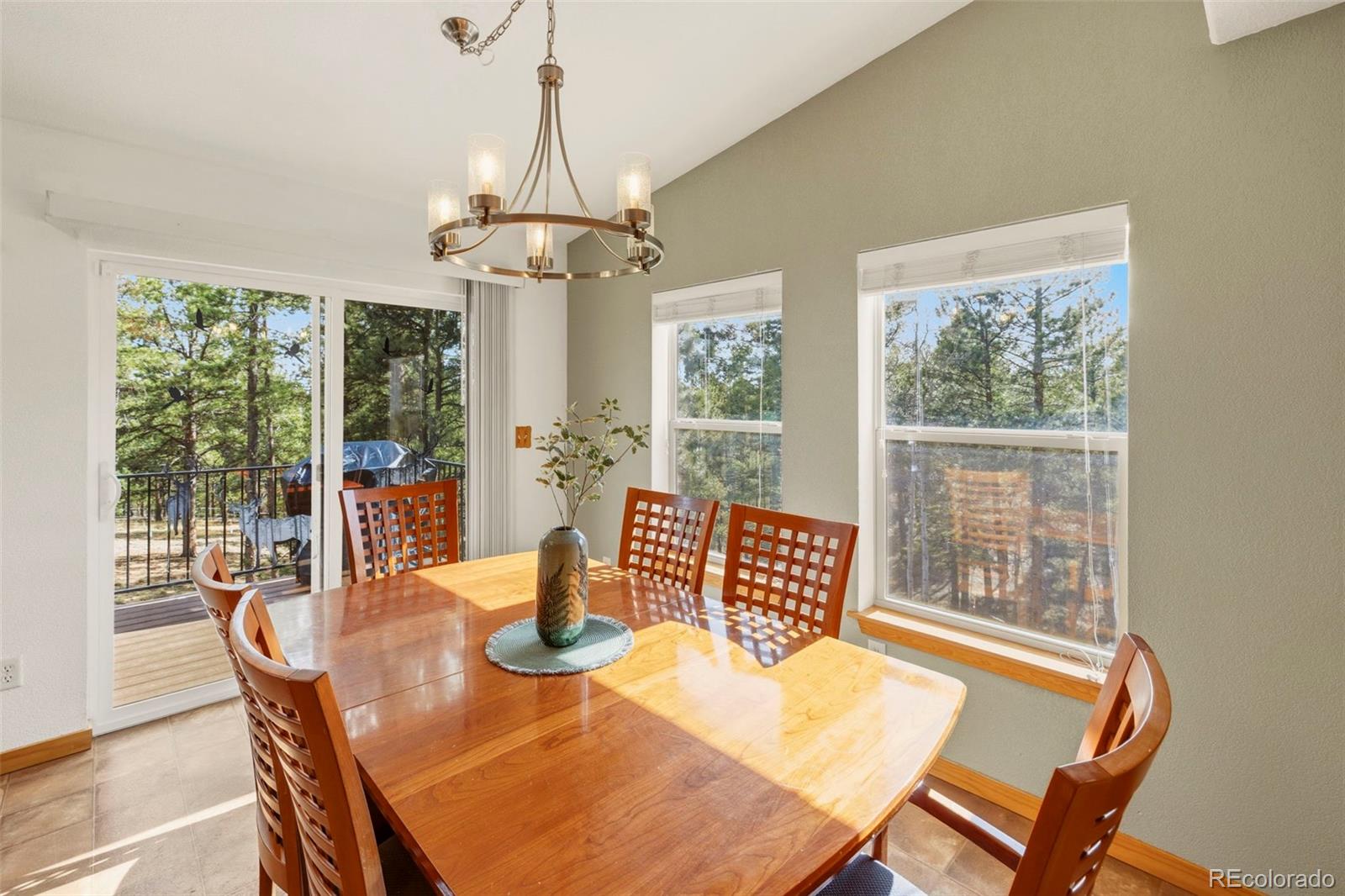 738 Rangeview Road Divide CO 80814