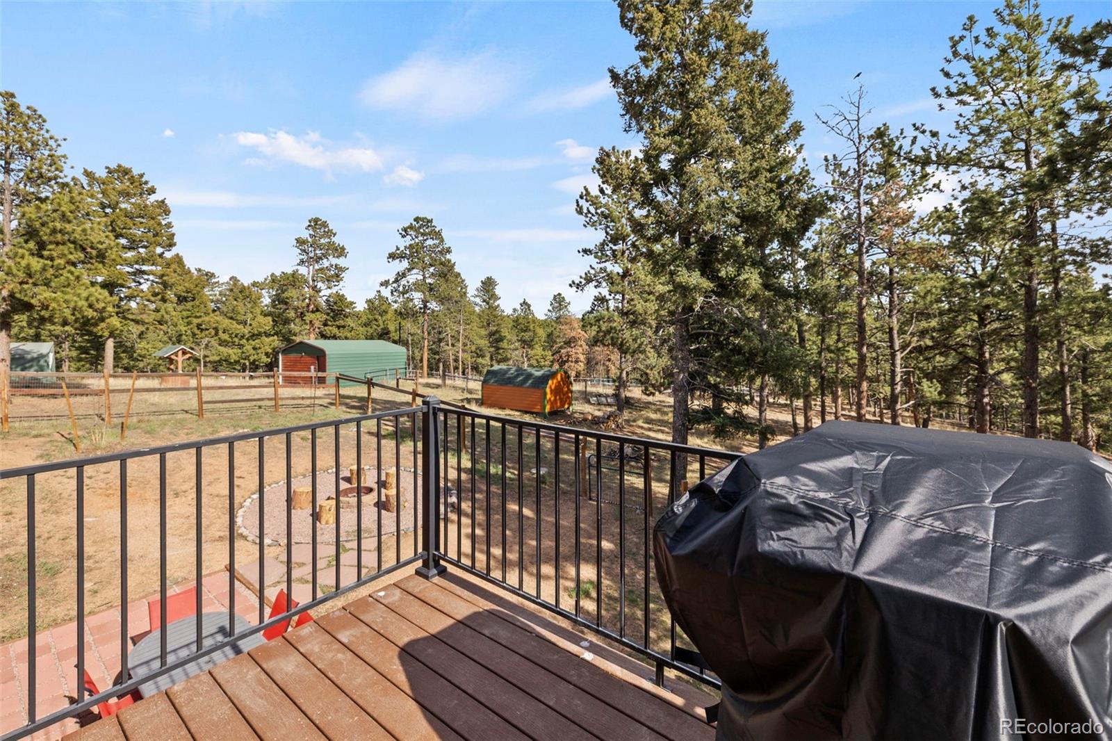 738 Rangeview Road Divide CO 80814
