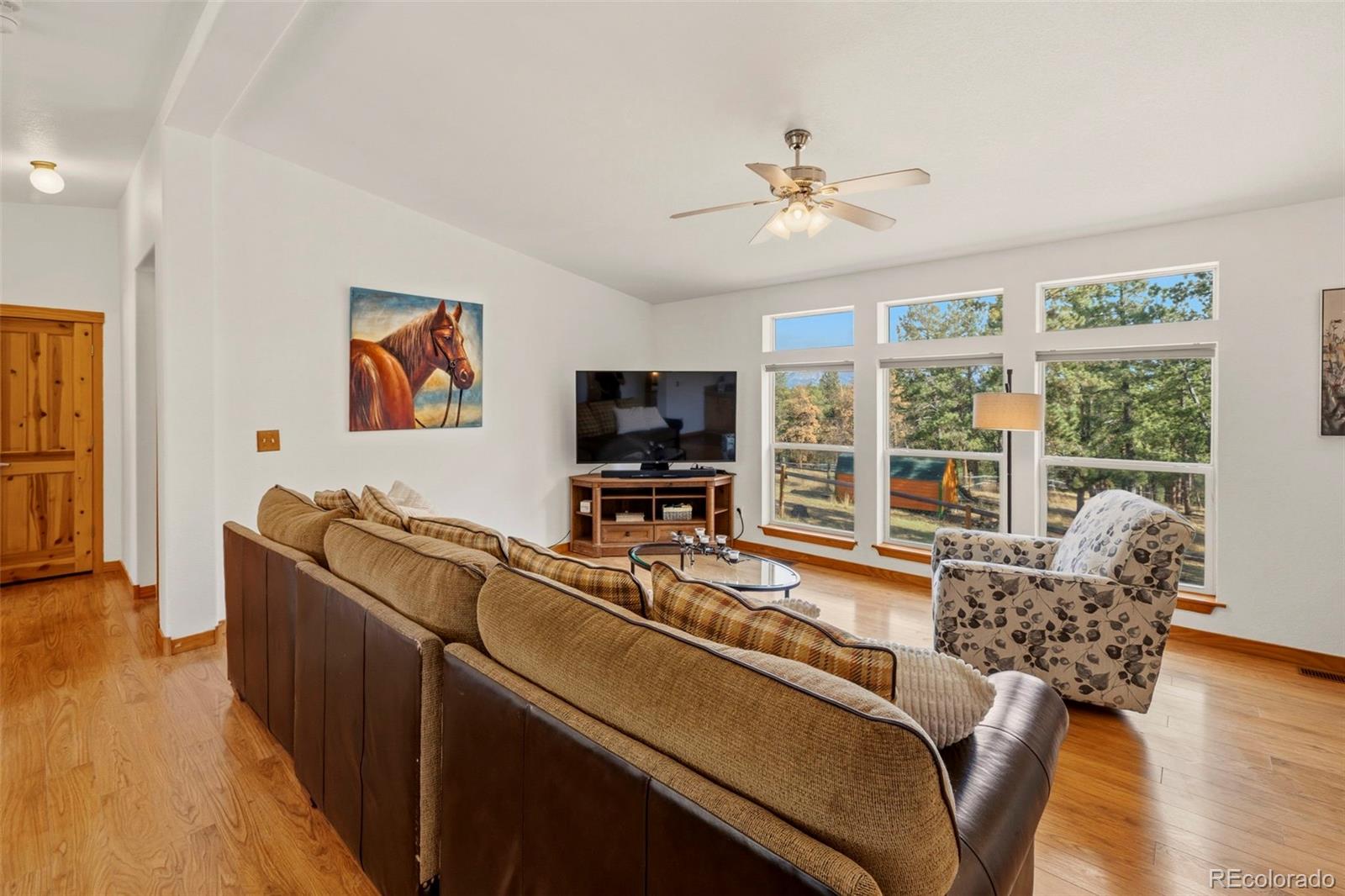 738 Rangeview Road Divide CO 80814