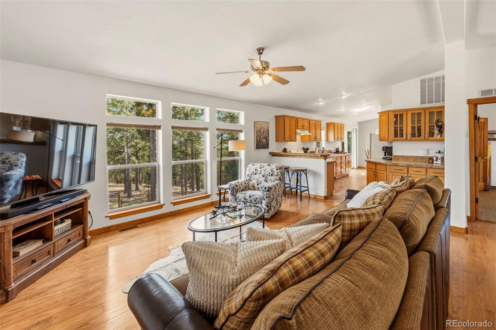 738 Rangeview Road Divide CO 80814