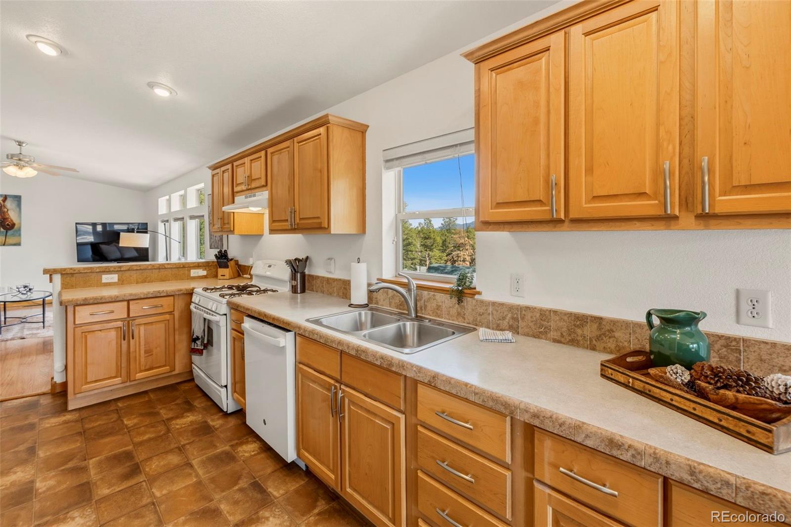 738 Rangeview Road Divide CO 80814