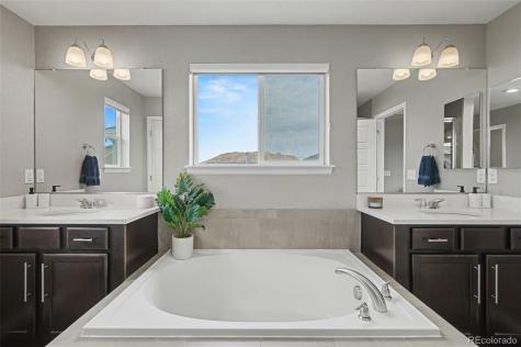 472 Sage Grouse Circle Castle Rock CO 80109