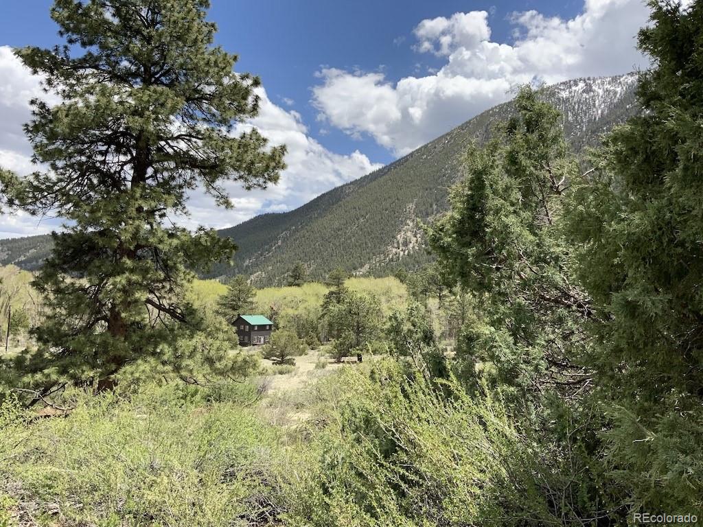 18957 County Road 162 Nathrop CO 81236