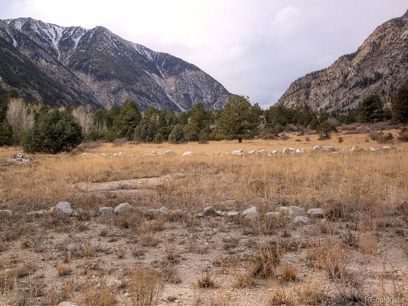 18957 County Road 162 Nathrop CO 81236